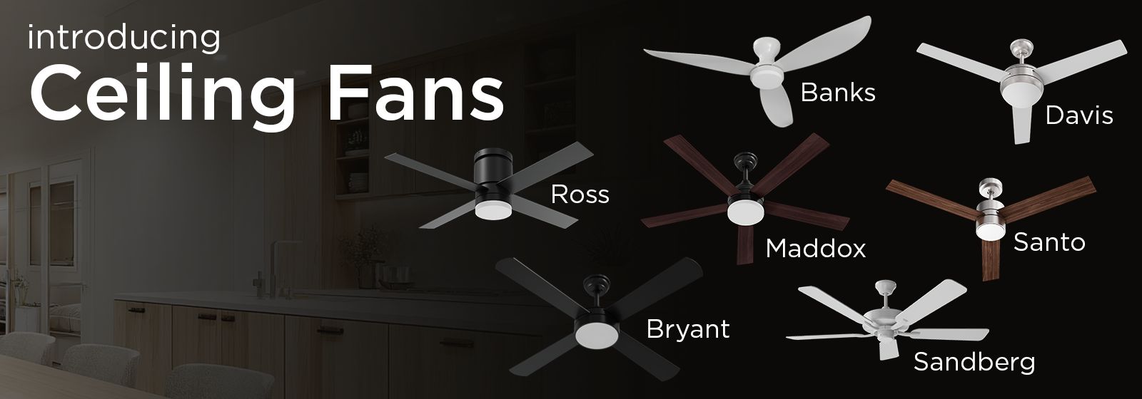 Ceiling Fans